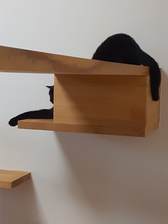 20220806_102237.jpg