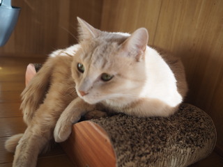 P1050005.JPG