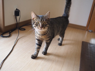P1170010.JPG