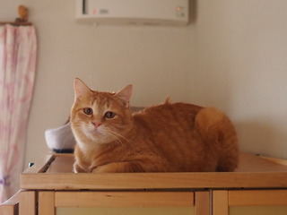 P2100038.JPG
