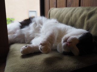 P4100097.JPG
