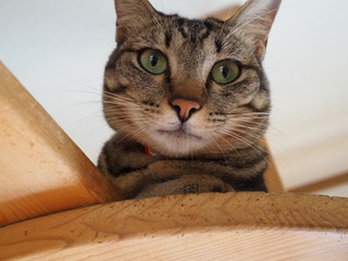 P4300002.JPG