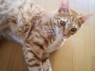P6010006.JPG