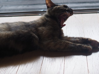 P6190002.JPG