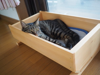 P7100018.JPG
