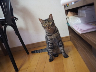 P7110035.JPG