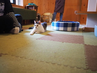 P7210010.JPG