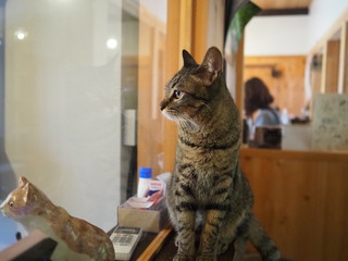 P7230002.JPG