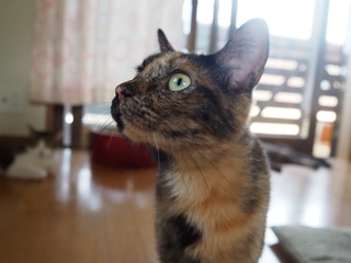 P8020040.JPG