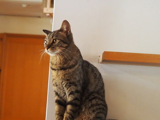 P8110015.JPG