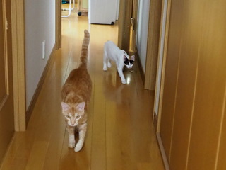 P8240011.JPG