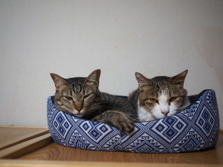 P8290001.JPG