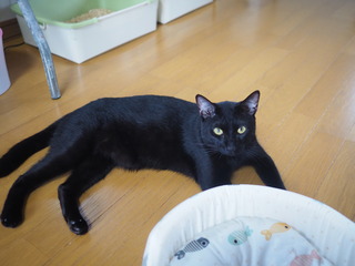 P9080020.JPG
