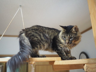 P9150001.JPG