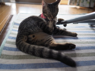 P9230003.JPG