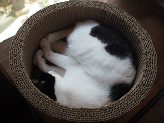 P9260005.JPG