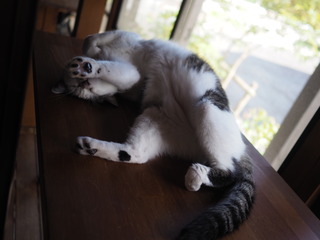 P9260008.JPG