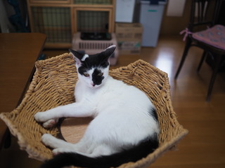 P9270054.JPG