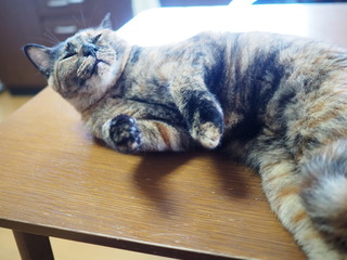 P9290005.JPG