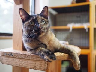 P9290009.JPG