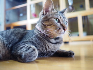 P9290014.JPG
