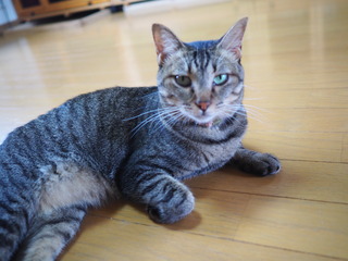 P9290015.JPG