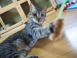 P9290016.JPG