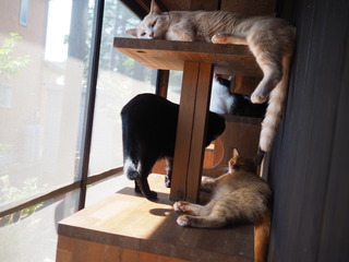 PA010011.JPG
