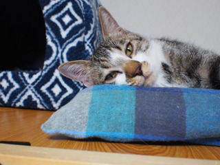 PC150011.JPG