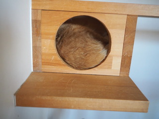 PC270005.JPG