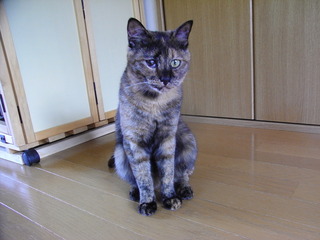 RIMG0008.JPG